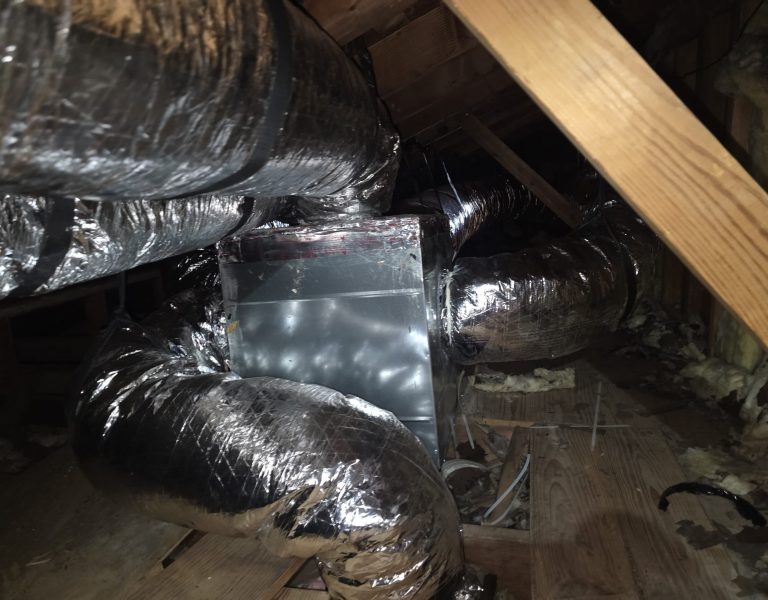 3ca14ca5-c310-49c1-8cfa-ce98ee1585ad