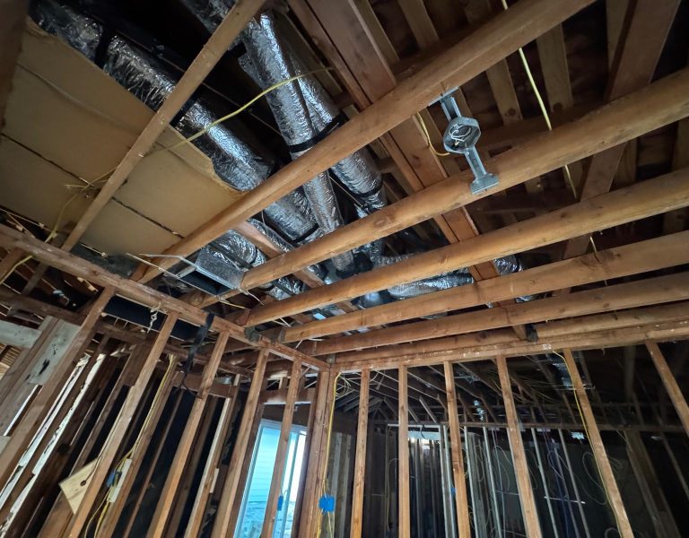 54fbde3e-3c15-4428-b480-efcf3e1e4b0e