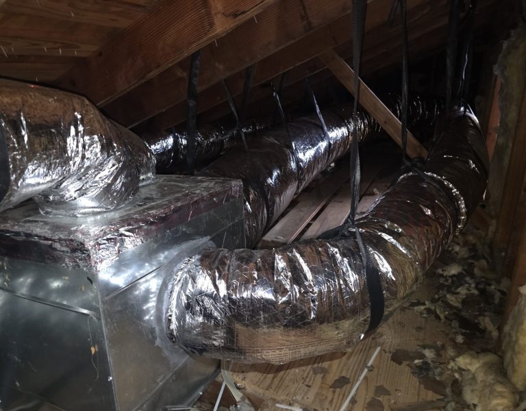 9fb7c970-d978-4fb7-87fc-21595d732106